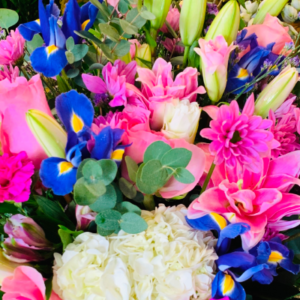 Colors of Love​